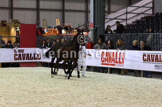 PAN CARRE_MILANO_2010_SS3_8343.jpg